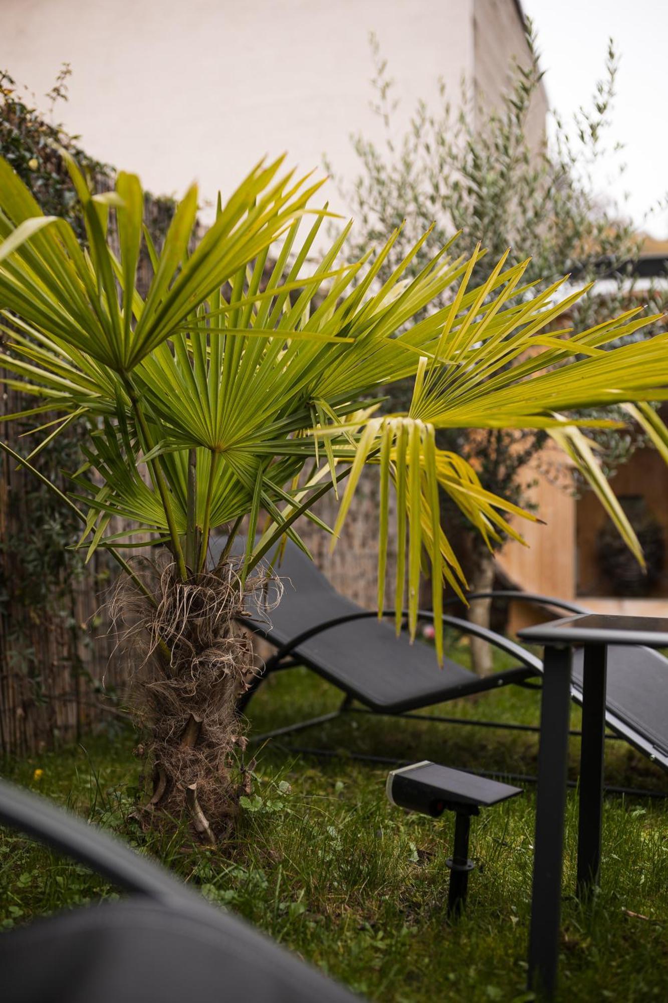 Apartamento Modernhouse Ko26 Coblenza Exterior foto